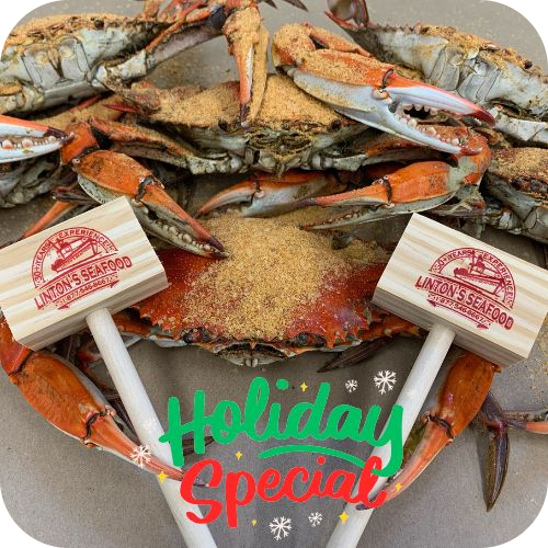 Image Shop Holiday Specials